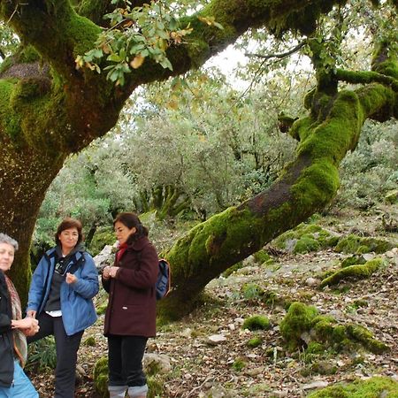 Auberge Dardara Derdara Bagian luar foto