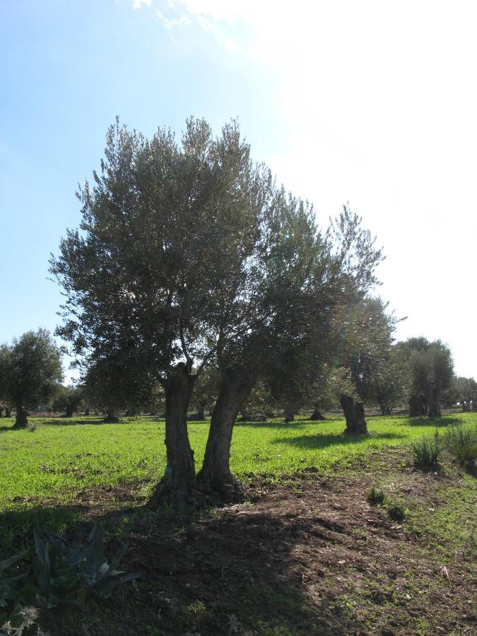 Auberge Dardara Derdara Bagian luar foto