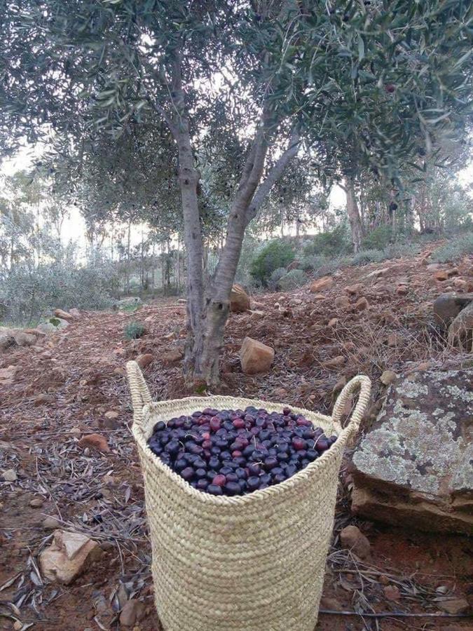 Auberge Dardara Derdara Bagian luar foto